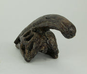 Zeckos 8 Inch Parasaurolophus Dinosaur Skull Fossil Statue, Small Brown Resin Dino Head Replica, Jurassic Science Decor for