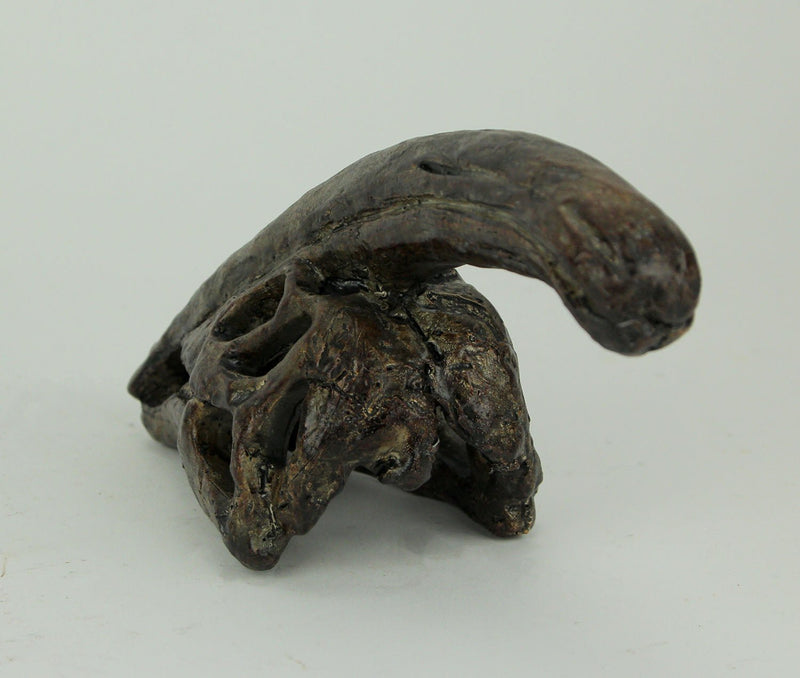 Zeckos 8 Inch Parasaurolophus Dinosaur Skull Fossil Statue, Small Brown Resin Dino Head Replica, Jurassic Science Decor for