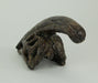 Zeckos 8 Inch Parasaurolophus Dinosaur Skull Fossil Statue, Small Brown Resin Dino Head Replica, Jurassic Science Decor for