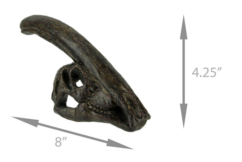 Zeckos 8 Inch Parasaurolophus Dinosaur Skull Fossil Statue, Small Brown Resin Dino Head Replica, Jurassic Science Decor for