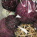 Purple - Image 7 - 18-Piece Collection of Purple and Brown Exotic Dried Organic Decorative Botanical Filler Spheres, Perfect