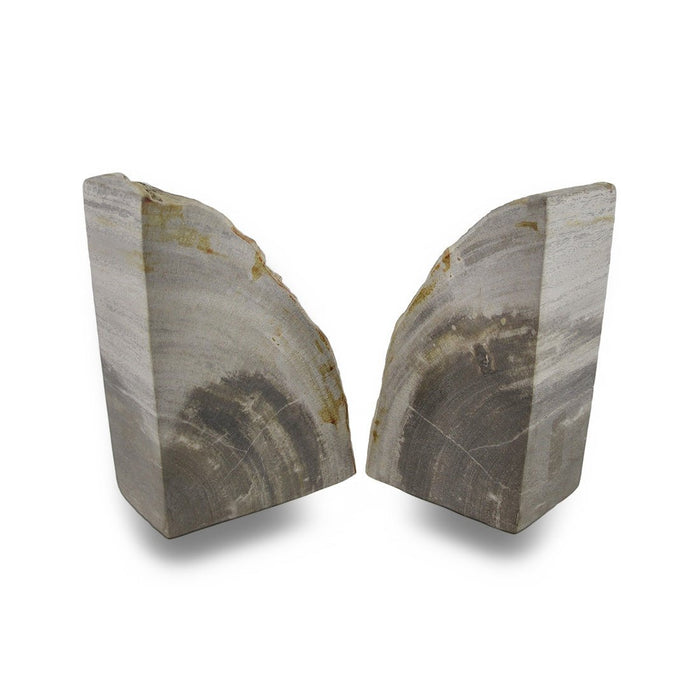 Indonesian Light Colored Petrified Wood Bookends 4-6 Pounds Image 3