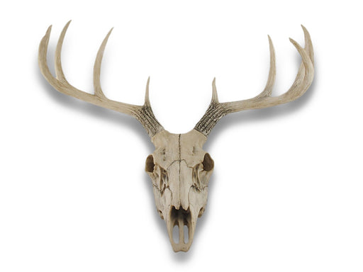 Lifelike 10-Point Buck Deer Skull Replica - Exquisite Wall Hanging for Man Caves and Nature Enthusiasts - Intricately Crafted
