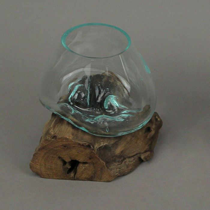 Melted Glass on Teak Driftwood Decorative Bowl, Vase, and Terrarium Planter - Approximately 5.75 Inches High -