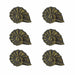 Bronze - Image 7 - Set of 6 Rustic Aged Bronze Finish Cast Iron Nautilus Shell Drawer Pulls - 2 Inches Long - Nautical